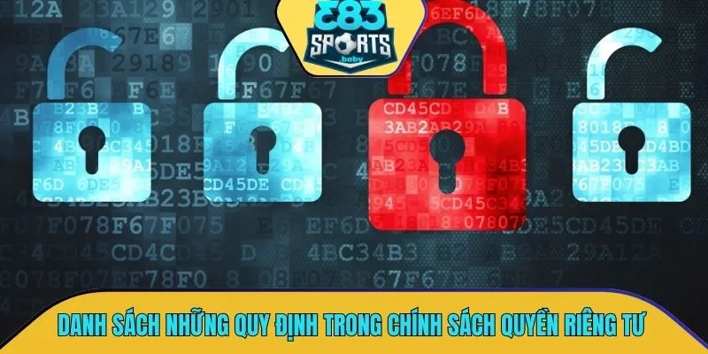 Danh sách những quy định chính trong chính sách quyền riêng tư